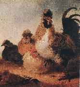 CUYP, Aelbert Rooster and Hens dfg oil painting picture wholesale